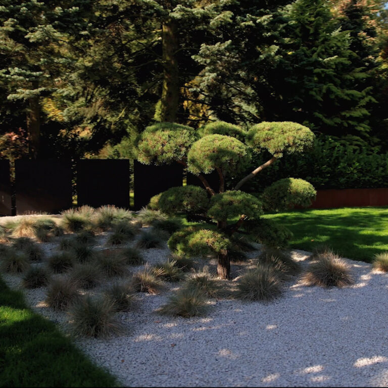 Gotowy projekt nowoczesnego ogrodu przy domu w Katowicach