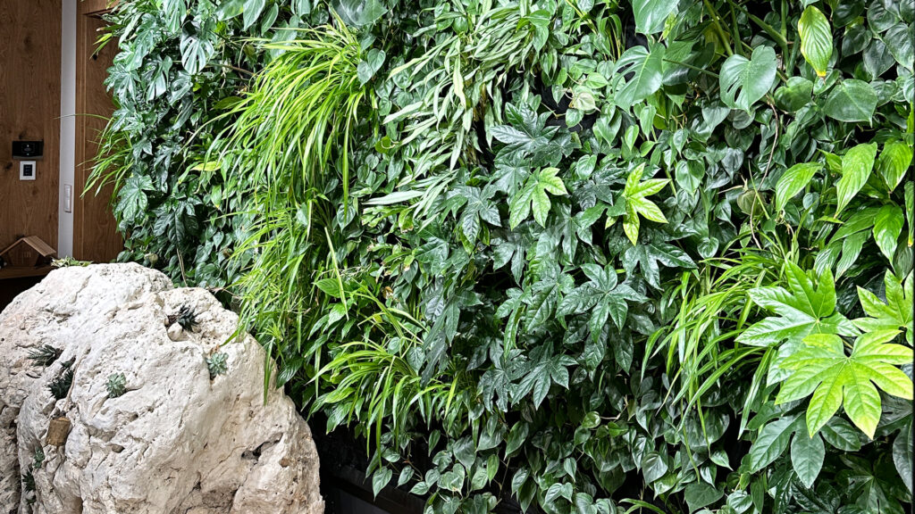 Zielona przestrzeń w biurze - ogród wertykalny