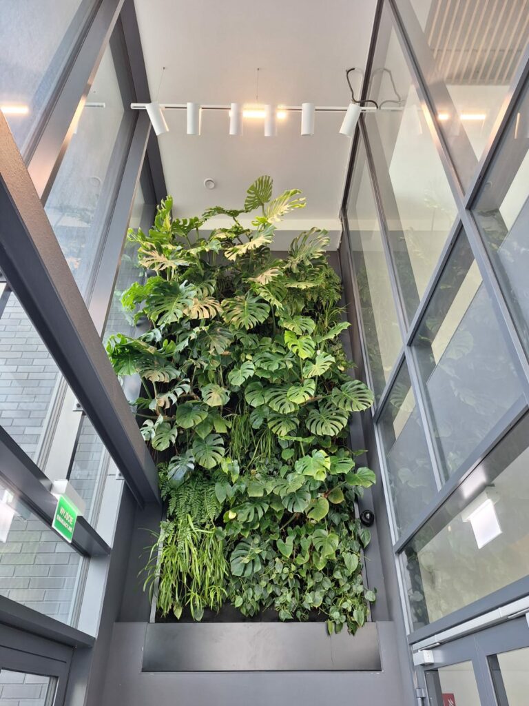 Ogród wertykalny w przestrzeni firmowej