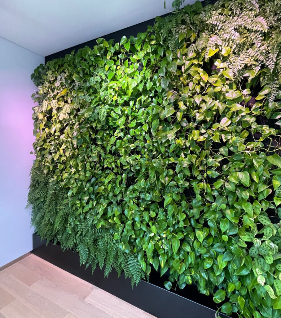 Ściana roślin w biurze