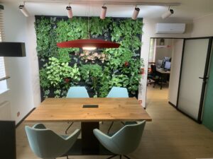Ogród wertykalny w biurze
