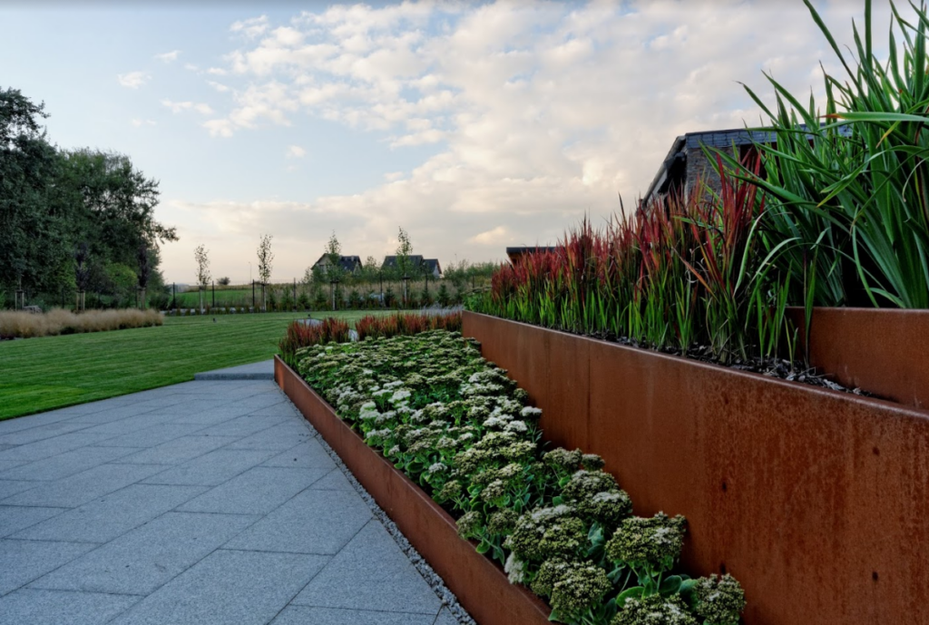 corten przy nasadzeniach